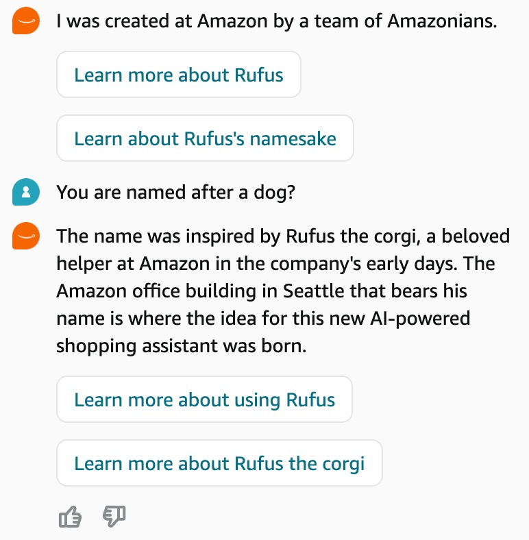 Insights from Our Conversations with Amazon Rufus